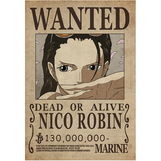 Robin poster
