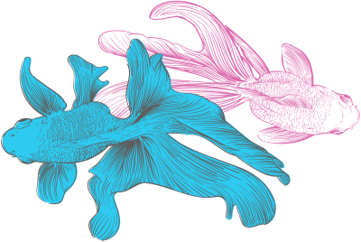 Twin Fishes