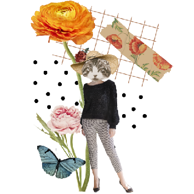 Fashion Cat
